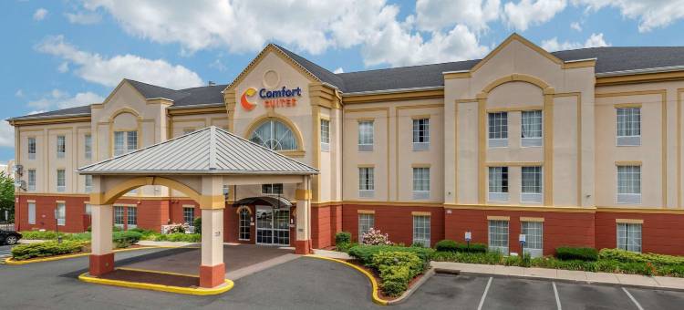 纽瓦克哈里森舒适套房酒店(Comfort Suites Newark - Harrison)图片