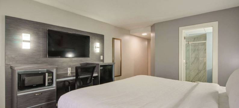 坦帕-布兰登凯隆波因特酒店 - 近展览中心和娱乐场(Clarion Pointe Tampa-Brandon Near Fairgrounds and Casino)图片