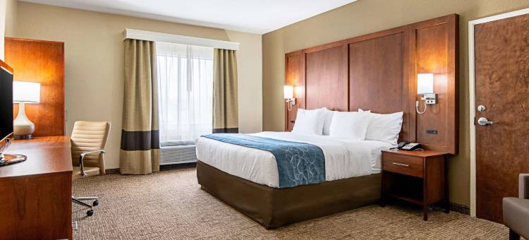 派恩布鲁夫舒适套房酒店(Comfort Inn & Suites Pine Bluff)图片