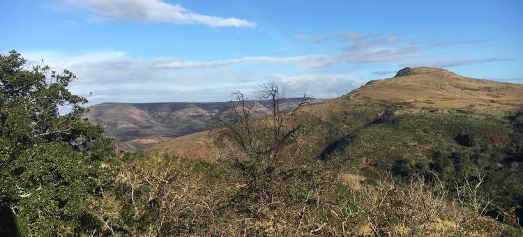 一箭之遥酒店(A Stone's Throw Accommodation)图片