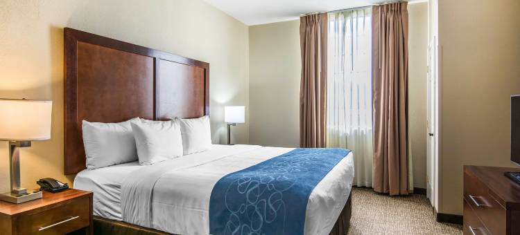 舒适套房酒店-弗雷德里克斯堡南(Comfort Suites Fredericksburg South)图片