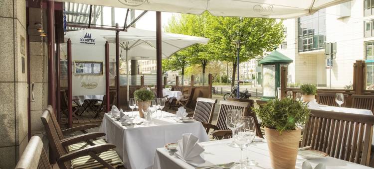 马格德堡马蒂姆宾馆(Maritim Hotel Magdeburg)图片