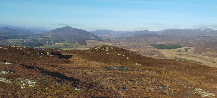 阿德瓦尼房子(Ardvonie House)图片