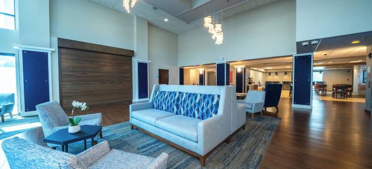 坦帕奥尔兹马智选假日酒店及套房(Holiday Inn Express & Suites Tampa Northwest-Oldsmar)图片