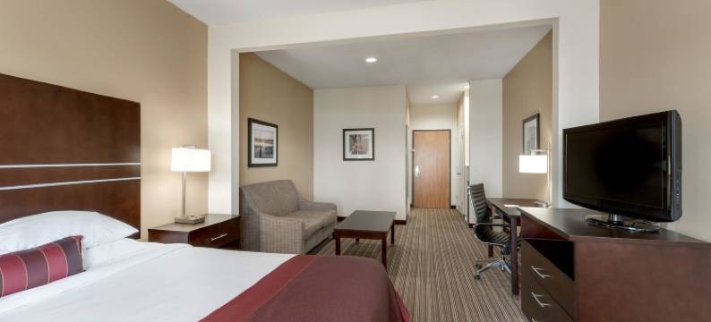 休斯敦/威洛布鲁克蔚景温德姆酒店(Wingate by Wyndham Houston / Willowbrook)图片