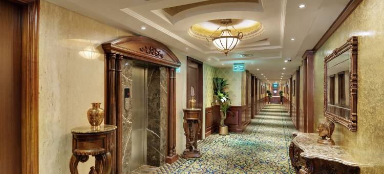 快捷商务豪华酒店(Express Inn the Business Luxury Hotel)图片