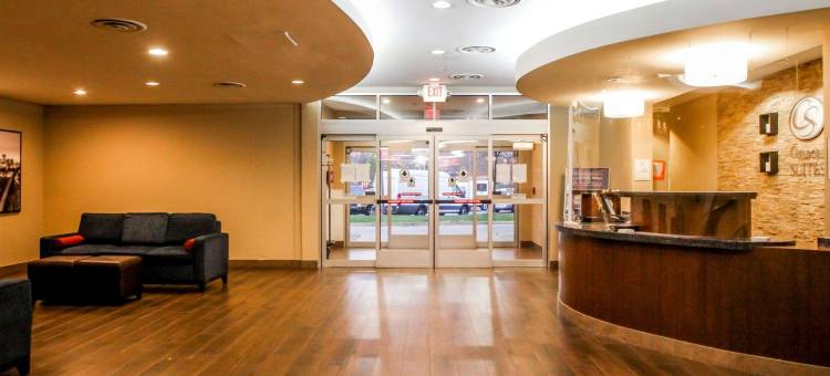 舒适套房酒店-维吉尼亚购物中心(Comfort Suites at Virginia Center Commons)图片