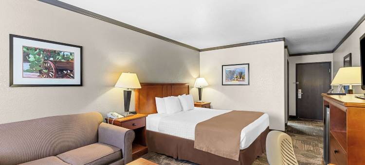 贝斯特韦斯特阿帕契章克申酒店(Best Western Apache Junction Inn)图片