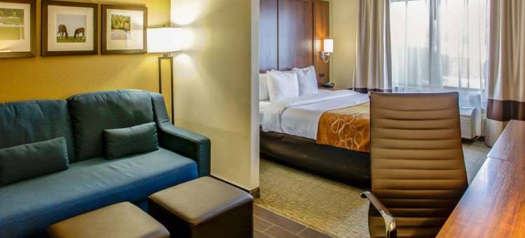 乔治敦舒适套房酒店(Comfort Suites Georgetown)图片