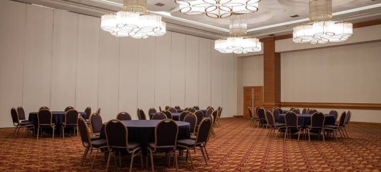 科尼亚阿内蒙酒店(Anemon Grand Konya Otel)图片