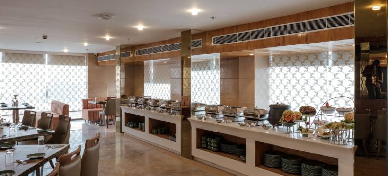 克拉克斯高级酒店(Clarks Premier Kota)图片