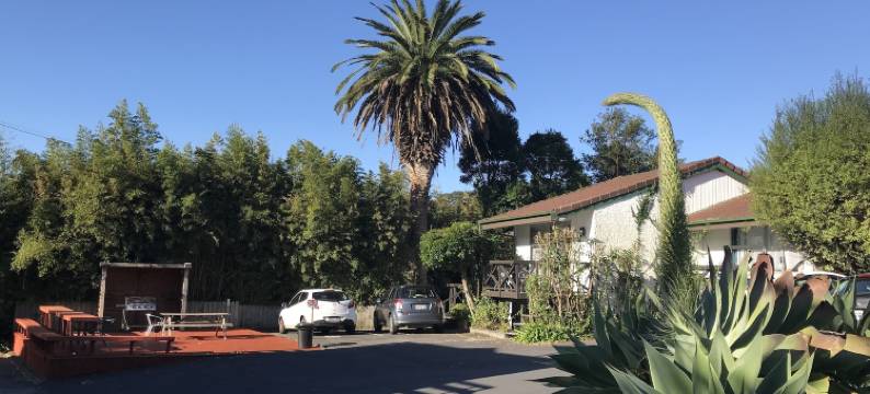 塞斯塔汽车旅馆(Siesta Motel)图片