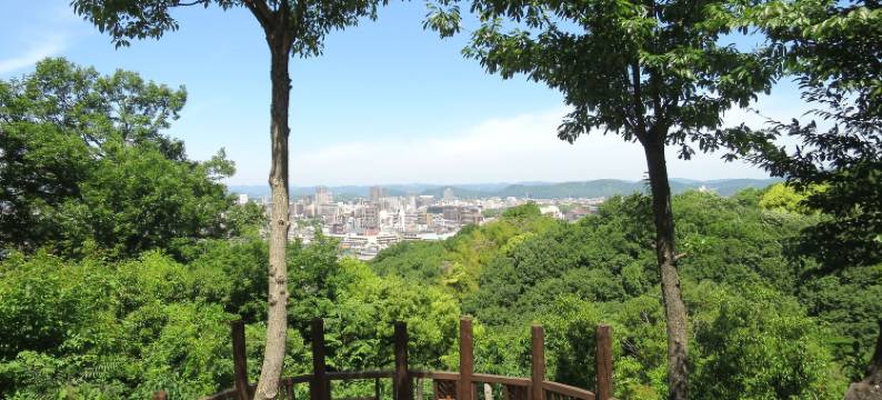 冈山国际酒店(Okayama International Hotel)图片
