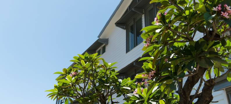 降灵岛中心酒店(Heart Hotel and Gallery Whitsundays)图片