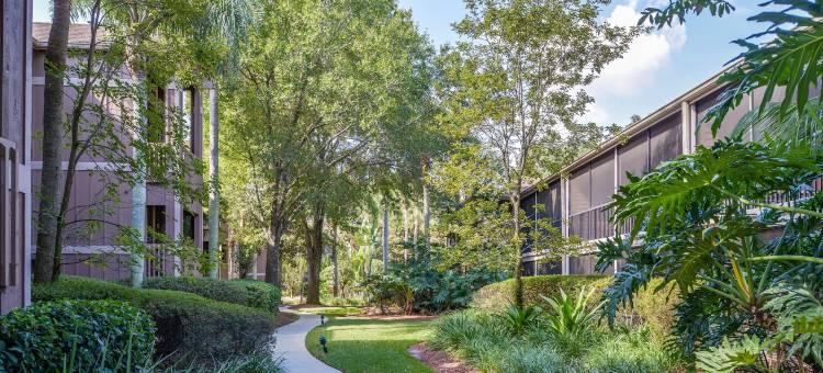 希尔顿假日俱乐部波利尼西亚群岛基西米(Hilton Vacation Club Polynesian Isles Kissimmee)图片