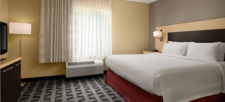 安阿伯TownePlace Suites酒店(TownePlace Suites Ann Arbor)图片