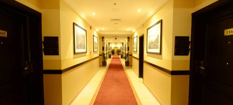 卡斯尔阿尔萨希卜酒店(Qasr Al Sahab)图片