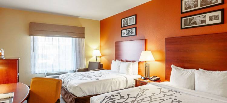 安眠套房酒店-南泰勒(Sleep Inn & Suites Tyler South)图片