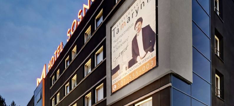索斯诺维茨M酒店(M Hotel Sosnowiec)图片