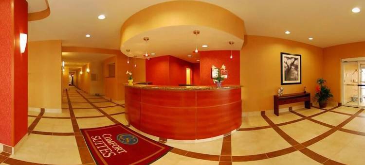 机场舒适套房酒店(Comfort Suites Airport)图片