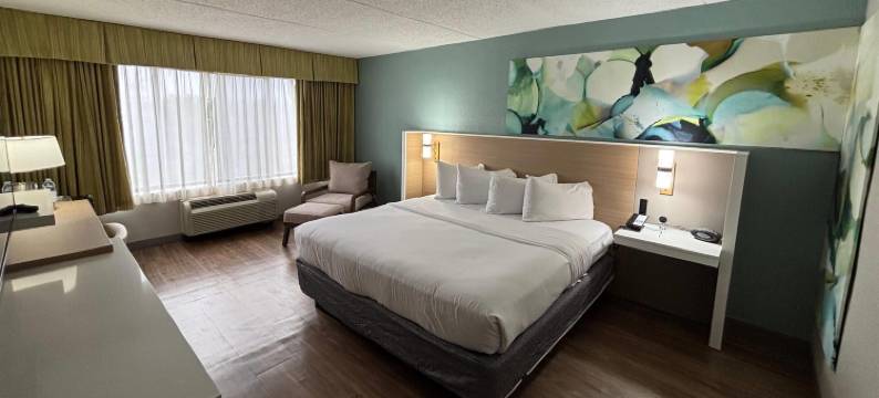 温德姆花园安阿伯酒店(Wyndham Garden Ann Arbor)图片