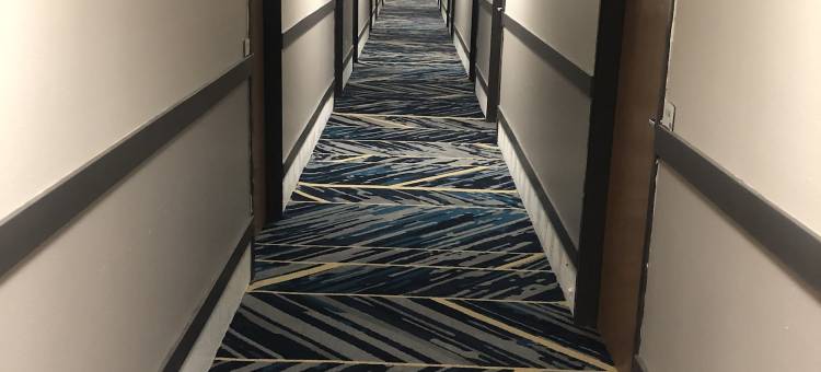 萨利娜国家森林区品质套房酒店(Quality Inn & Suites Salina National Forest Area)图片