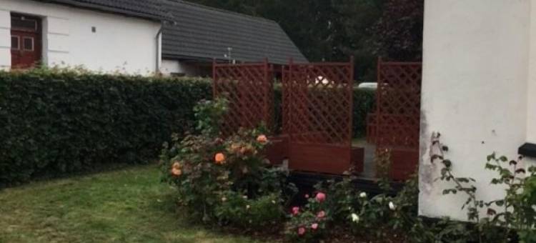 Søndervang别墅(Villa Søndervang)图片