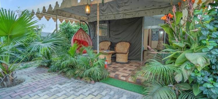 MST农场度假村(MST Farm & Resort)图片