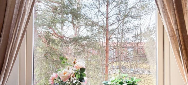 Säffle 套房 - 由Svaneholm酒店管理(Säffle Suites - By Svaneholm Hotel)图片