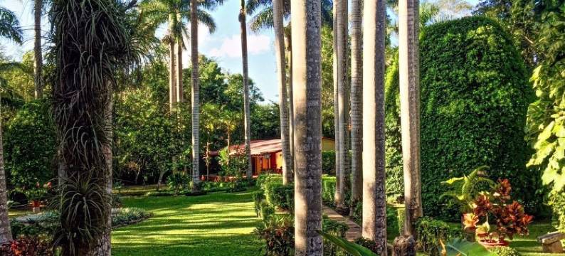 奇琴伊察庄园度假及雅克新水疗酒店(Hacienda Chichen Resort and Yaxkin Spa)图片
