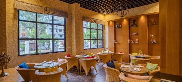 Golden Tulip Udaipur图片