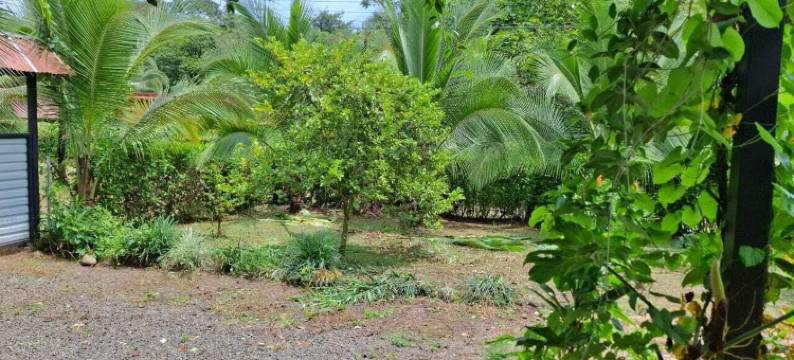 巴苏平房(Bungalows Batsu)图片