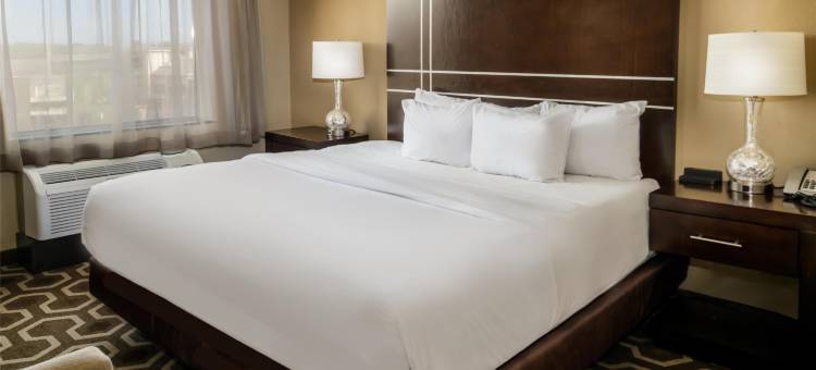 希尔顿安泊酒店-圣路易斯机场(Embassy Suites by Hilton St. Louis Airport)图片