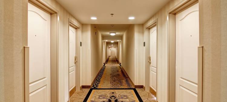 多伦多米西索加Homewood Suites by Hilton(Homewood Suites by Hilton Toronto-Mississauga)图片