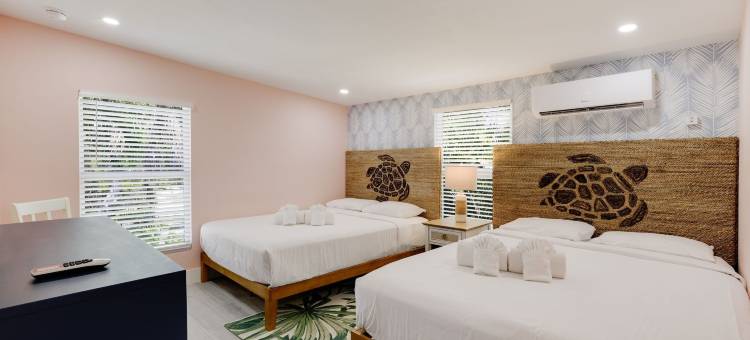 棕榈景观及桑迪派佩旅馆(The Palmview and Sandpiper Inns)图片
