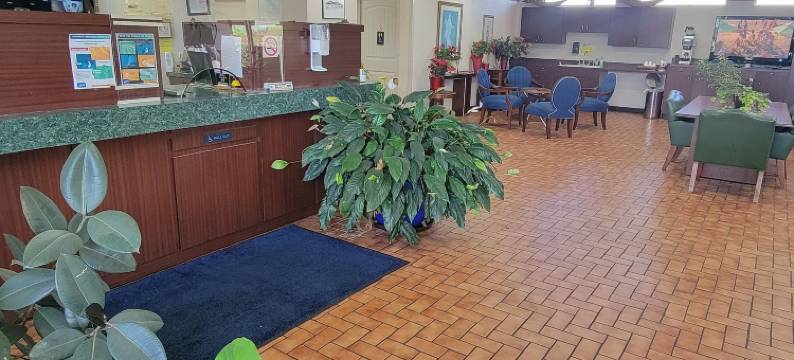 9号一室公寓套房酒店(Studio 9 Inn & Suites)图片