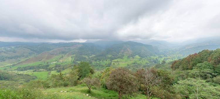 萨伦托旅人青年旅舍(Viajero Salento Hostel)图片