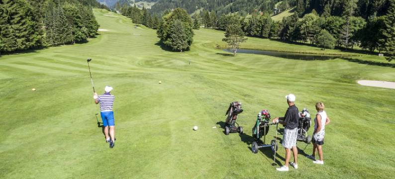 特拉勒霍夫酒店(Hotel Trattlerhof)图片