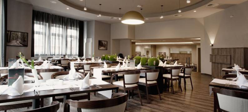 费里恩公园公寓饭店(Konsumhotel am Park)图片