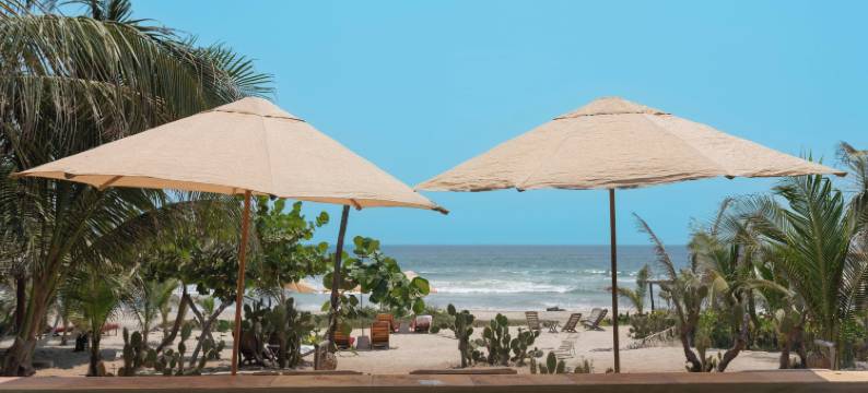 奥哈卡的蝴蝶之家(Casa Mariposa Oaxaca)图片