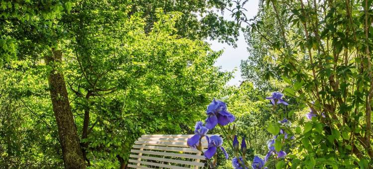 贝尔维尤城堡酒店(Logis Hôtel Restaurant Château Bellevue)图片