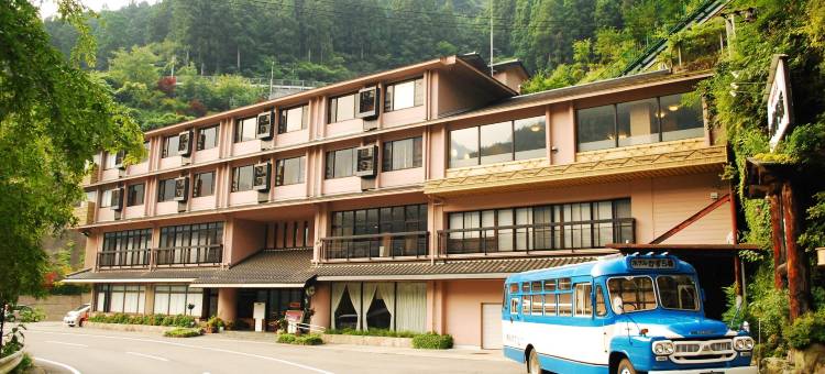 新祖谷温泉 蔓桥酒店(SHINIYAONSEN HOTEL KAZURABASHI)图片