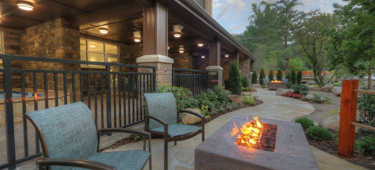 希尔顿欢朋酒店-加特林堡历史自然路径(Hampton Inn Gatlinburg Historic Nature Trail)图片