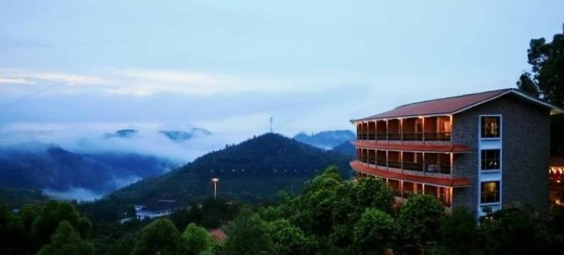 梅州雁南飞围龙大酒店图片