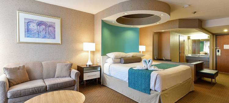 尼亚加拉瀑布豪生酒店(Howard Johnson Plaza by Wyndham by the Falls / Niagara Falls)图片