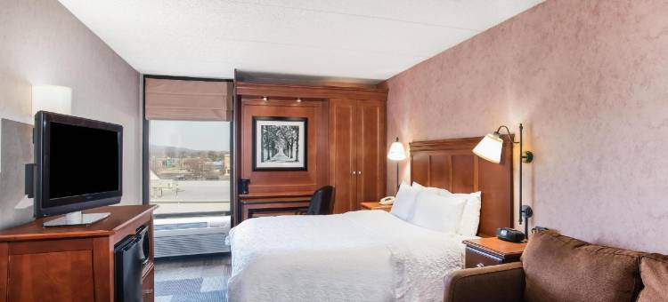 希尔顿欢朋酒店-西斯普林菲尔德(Hampton Inn West Springfield)图片