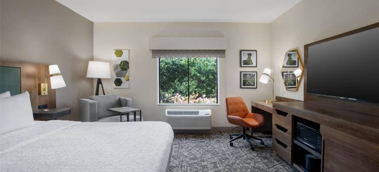 阿林顿北娱乐区欢朋套房酒店达拉斯(Hampton Inn & Suites Dallas-Arlington North-Entertainment District)图片