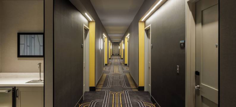 凯悦尚萃芝加哥奥黑尔(Hyatt Centric Chicago O'Hare)图片