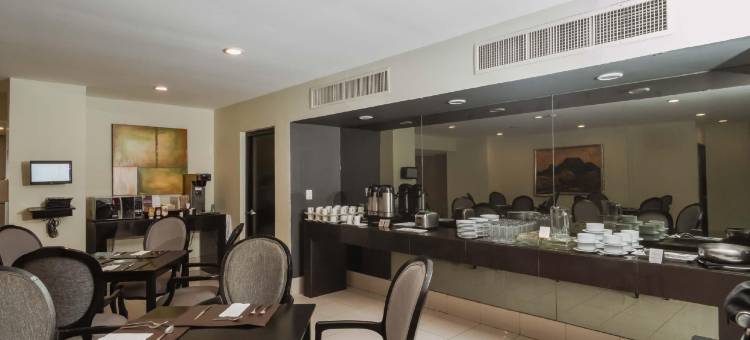 HS HOTSSON 坦皮科智选酒店(HS HOTSSON Smart Value Tampico)图片