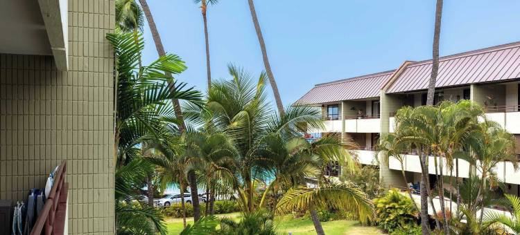凯卢阿-科纳的海滨公寓117(Oceanfront Condo 117 in Kailua-kona)图片